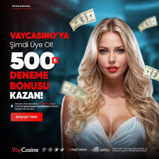 vaycasino slot